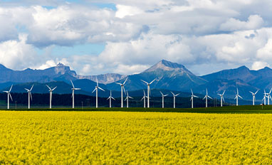  Iron Mountain Green Power Pass - Windmills across a field