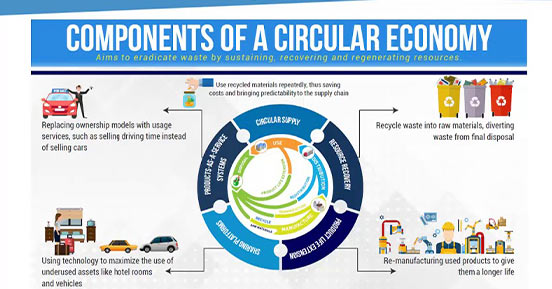 Components of a circular economy