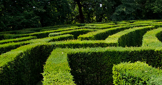 The Future of Work - A hedge labyrinth