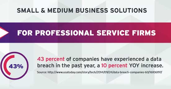 Professional Services Small & Medium Business Solutions
