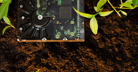 Hard disk on  the group with plants aside 